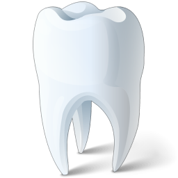Softdent Zahn Softdent Zahn