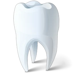 tooth_256